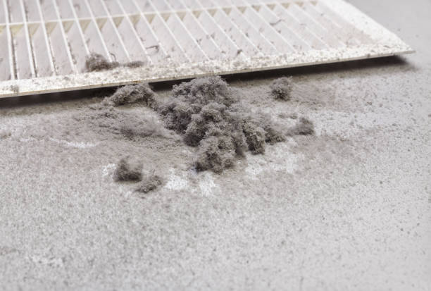 Best Air Duct Cleaning Near Me  in Cane Savannah, SC