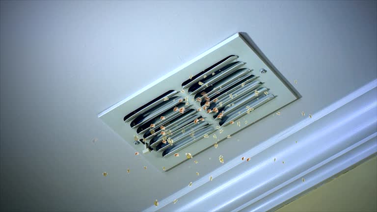 Best Local Air Duct Cleaning Services  in Cane Savannah, SC
