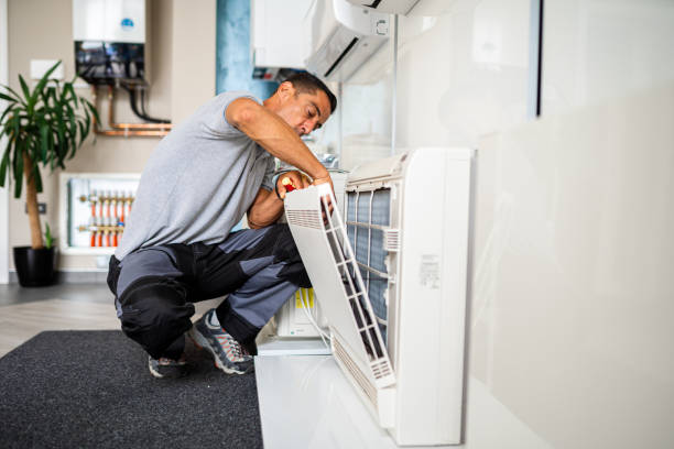 Best Air Vent Cleaning Services  in Cane Savannah, SC