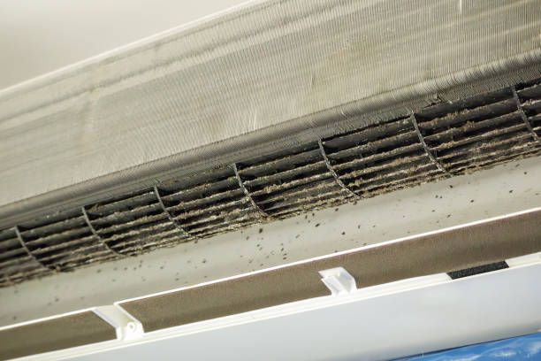 Best Commercial Air Duct Cleaning  in Cane Savannah, SC